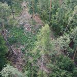 Waldbrandübung im Raum Mühlbach am Manhartsberg