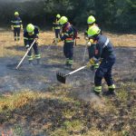 Waldbrandübung im Raum Mühlbach am Manhartsberg