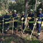 Waldbrandübung im Raum Mühlbach am Manhartsberg