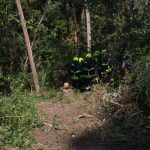 Waldbrandübung im Raum Mühlbach am Manhartsberg