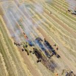 Waldbrandübung im Raum Mühlbach am Manhartsberg