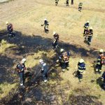 Waldbrandübung im Raum Mühlbach am Manhartsberg